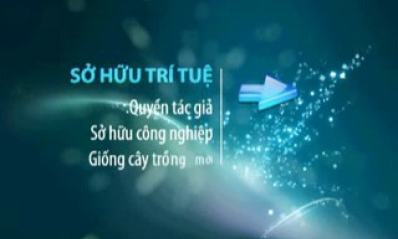 Sở hữu trí tuệ ( số 2 tháng 10-2011)