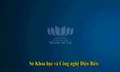 Sở hữu trí tuệ (tháng 12-2011)