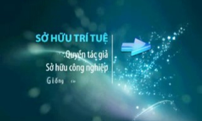 Sở hữu trí tuệ (Số 2 tháng 1-2012)