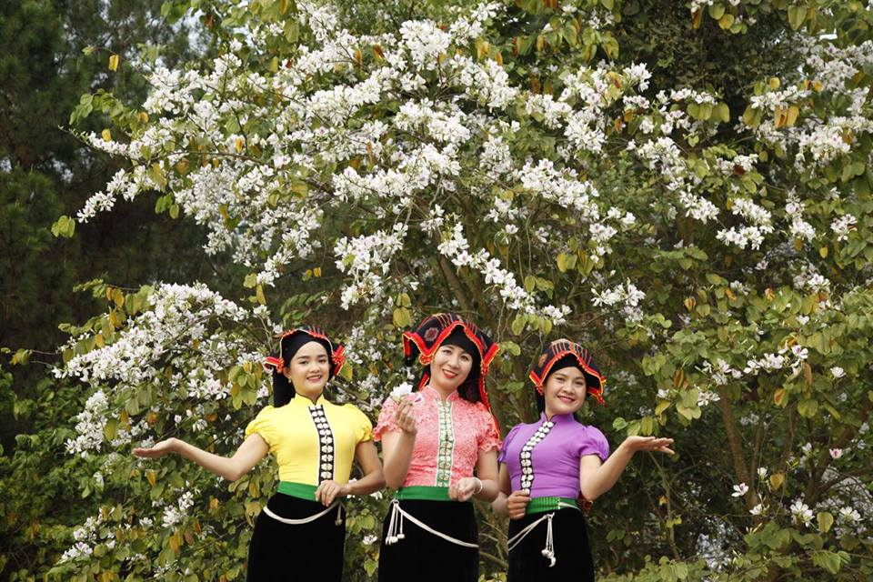 Thời điểm ban nở cũng là lúc các bạn trẻ nô nức tới chụp ảnh, lưu giữ khoảnh khắc đẹp bên bạn bè và người thân.