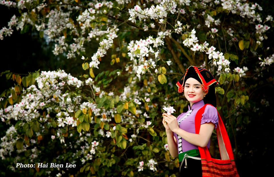 Nhiều du khách, bạn trẻ đến để lưu giữ những khoảnh khắc đẹp bên loài hoa này.