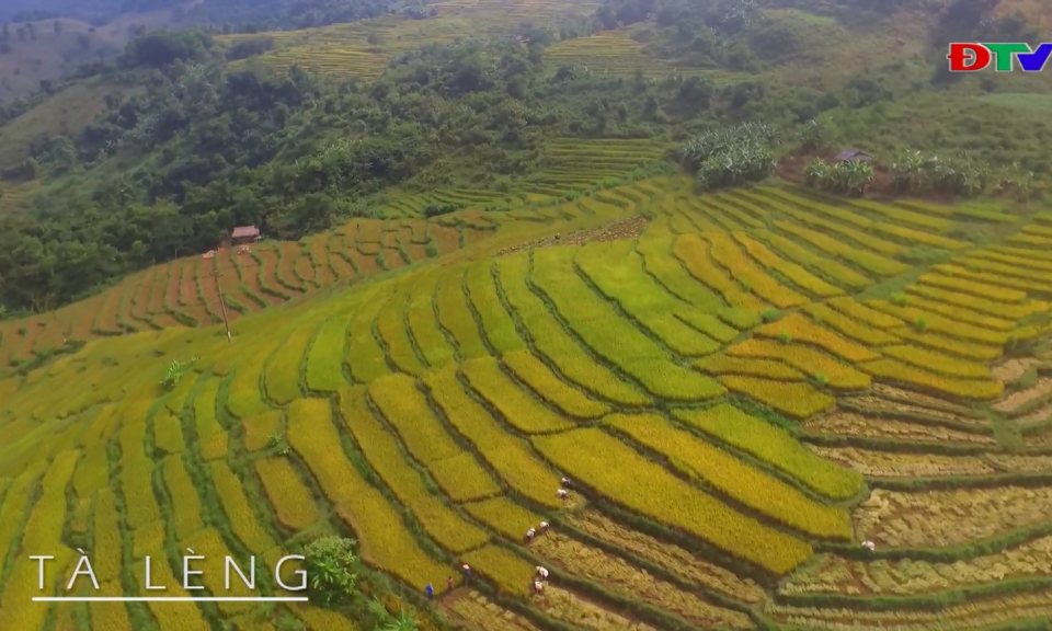THĂM RUỘNG BẬC THANG TẠI TP ĐIỆN BIÊN PHỦ
