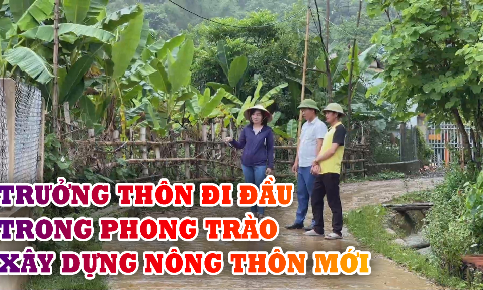 Trưởng thôn đi đầu trong phong trào xây dựng NTM