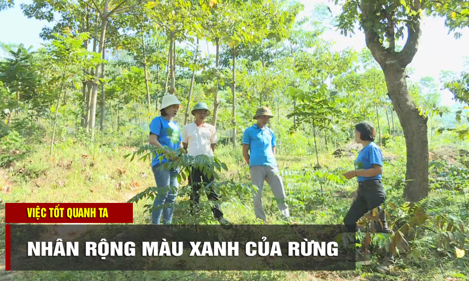 Nhân rộng màu xanh của rừng