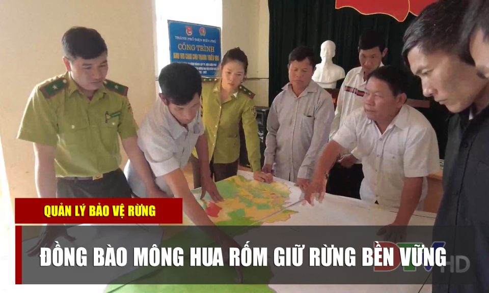 Đồng bào Mông Hua Rốm giữ rừng bền vững