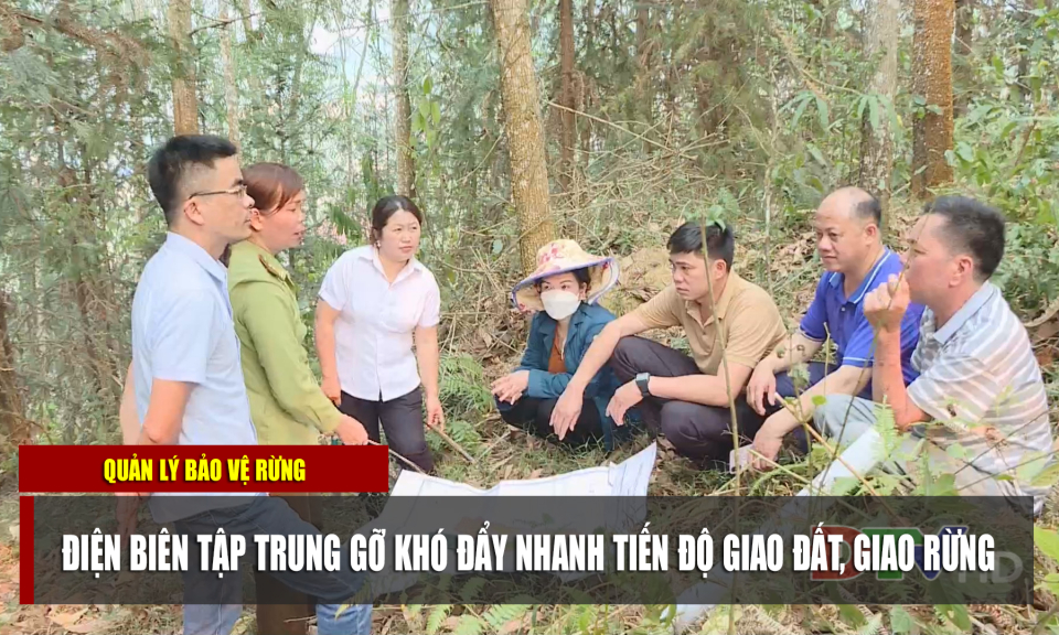 Điện Biên tập trung gỡ khó đẩy nhanh tiến độ giao đất, giao rừng