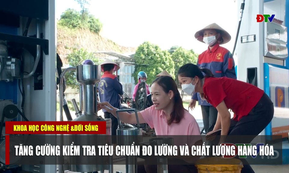 Tăng cường kiểm tra tiêu chuẩn đo lường và chất lượng hàng hóa