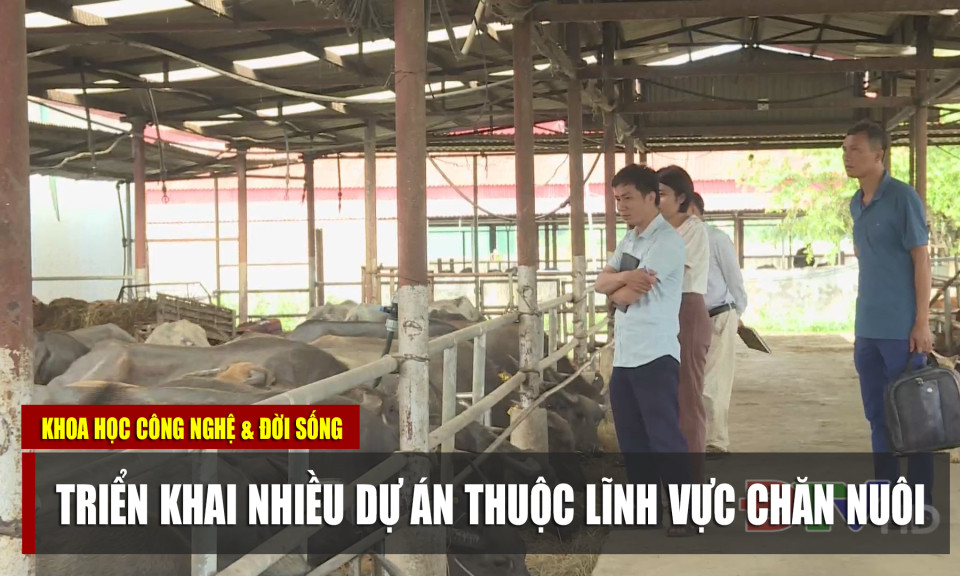 Triển khai nhiều dự án thuộc lĩnh vực chăn nuôi