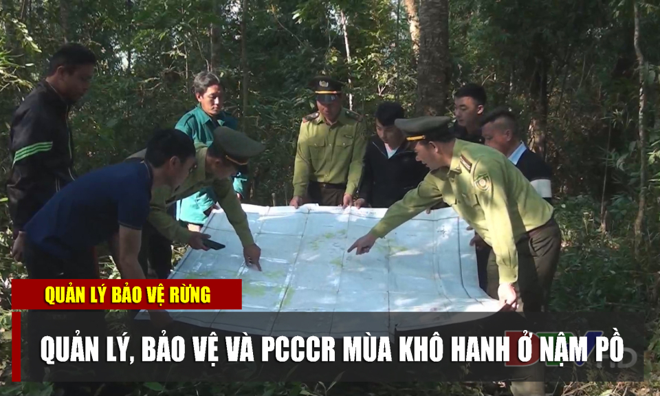 Quản lý, bảo vệ và PCCCR mùa khô hanh ở Nậm Pồ