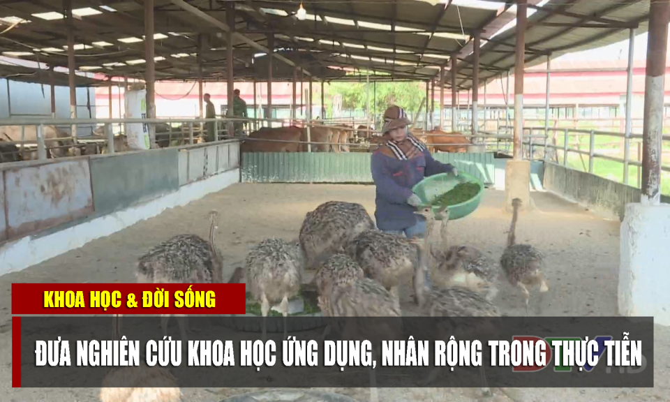 Đưa nghiên cứu khoa học ứng dụng, nhân rộng trong thực tiễn