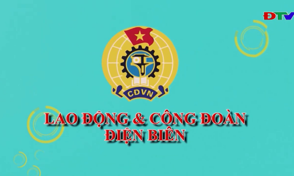 Lao động và công đoàn (Ngày 5-11-2023)