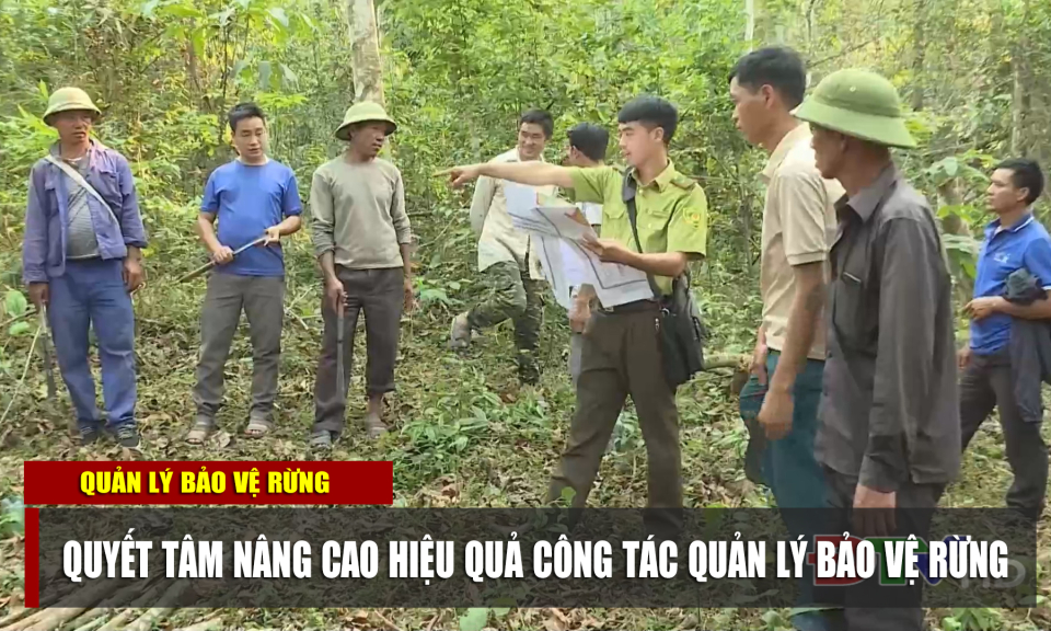 Quyết tâm nâng cao hiệu quả công tác quản lý bảo vệ rừng