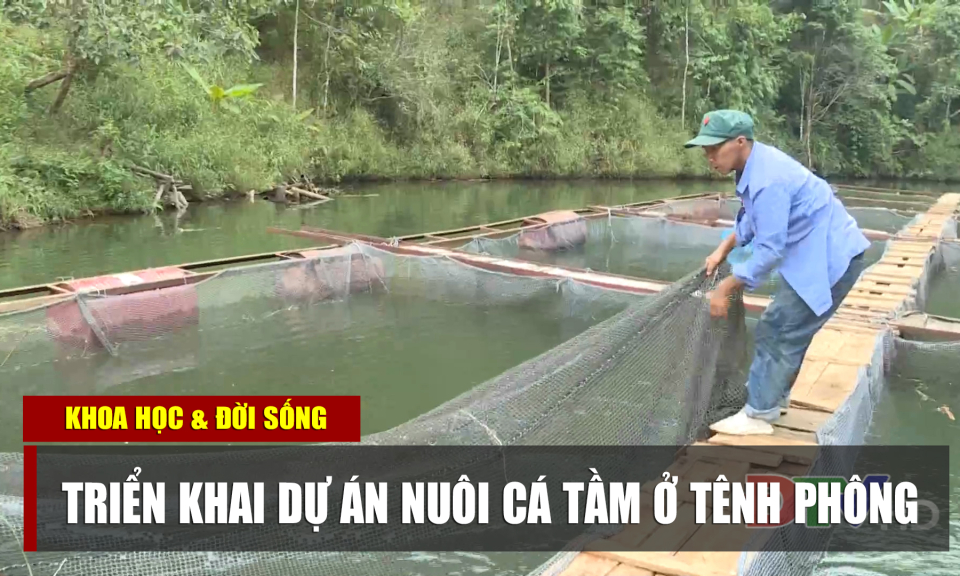 Triển khai dự án nuôi cá tầm ở Tênh Phông