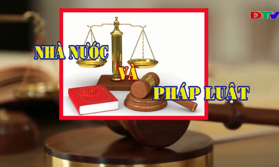 Nhà nước và pháp luật (Ngày 22-12-2023)